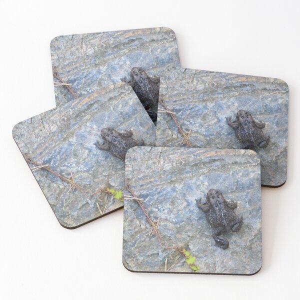 Item preview, Little Rock Climber designed and sold by Kathleen Brant.
