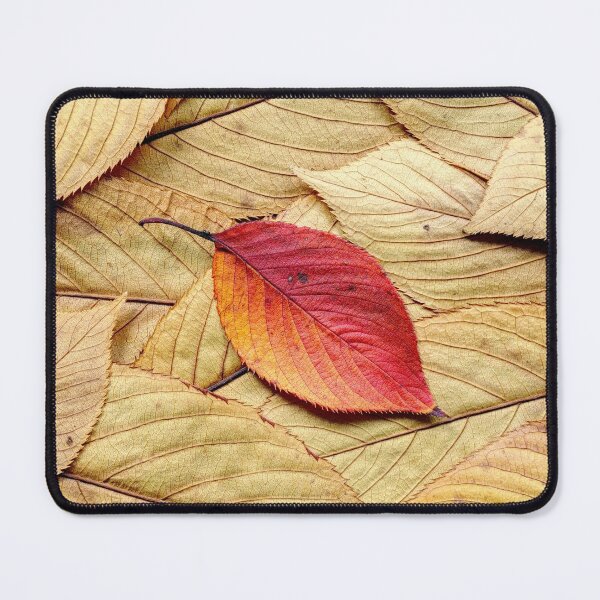 Item preview, Autumn leaves 01 designed and sold by Weston Westmoreland.