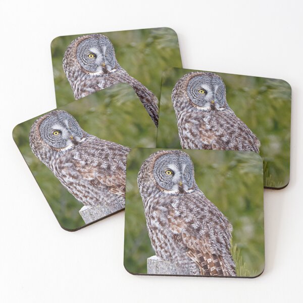 Item preview, Great Grey Owl designed and sold by Owl-Images.