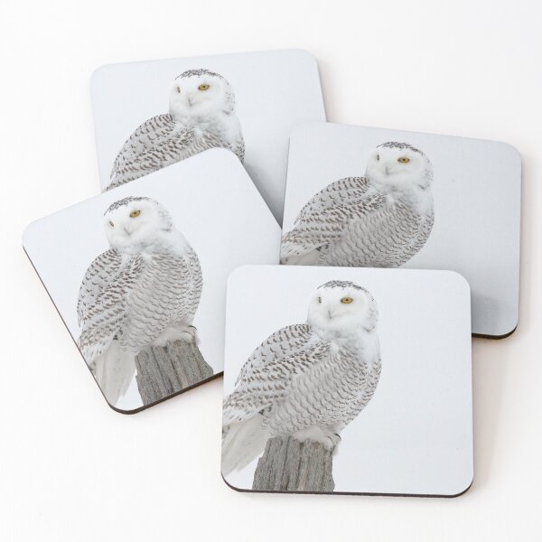 Item preview, Snowy Owl designed and sold by Owl-Images.
