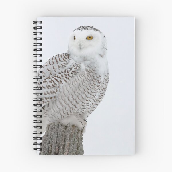 Item preview, Snowy Owl designed and sold by Owl-Images.