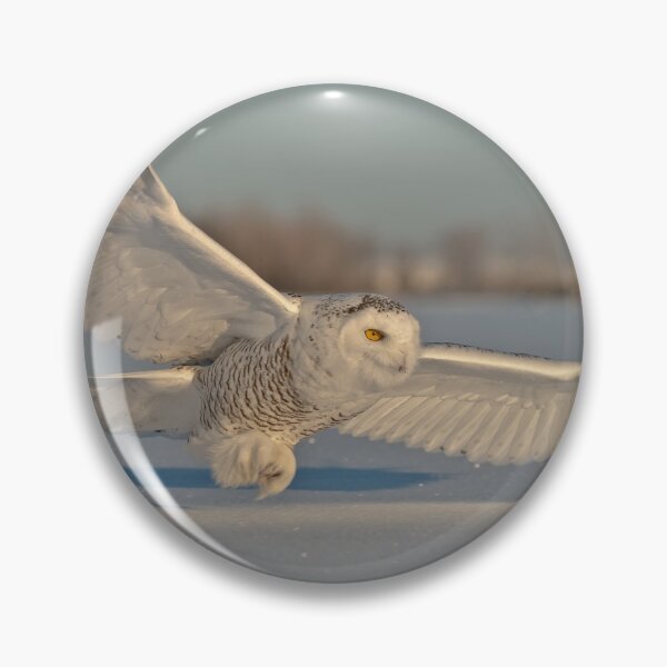 Item preview, Snowy Owl In Flight designed and sold by Owl-Images.