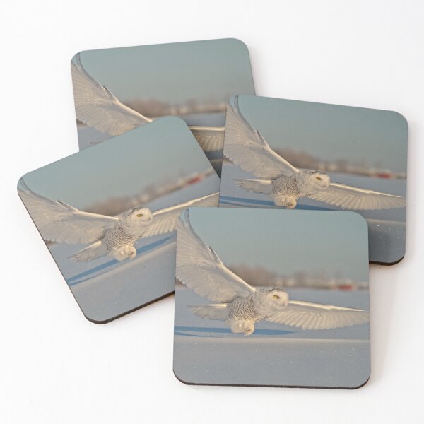Item preview, Snowy Owl In Flight designed and sold by Owl-Images.