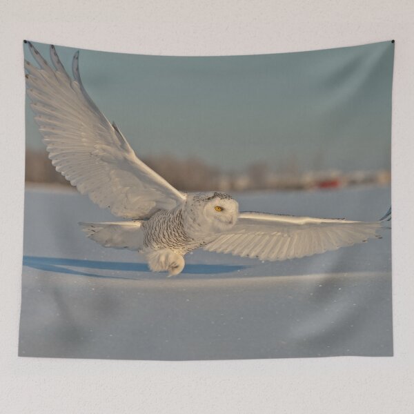 Item preview, Snowy Owl In Flight designed and sold by Owl-Images.