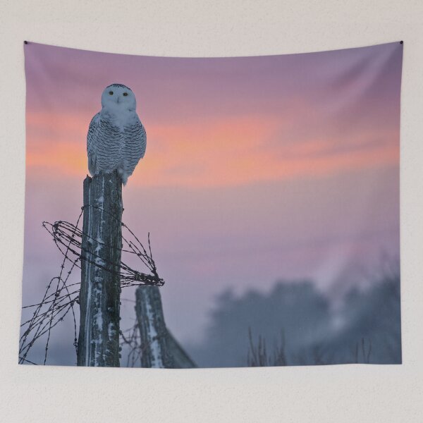 Item preview, Sunset Snowy designed and sold by Owl-Images.