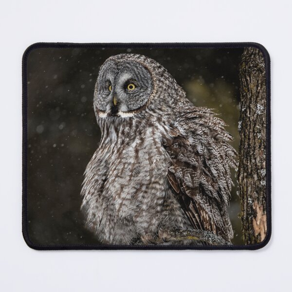 Item preview, Great Grey Owl designed and sold by Owl-Images.