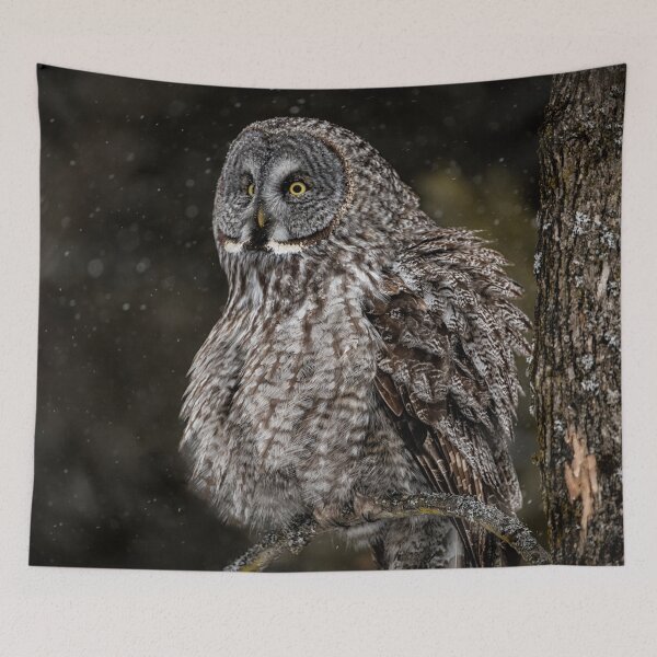 Item preview, Great Grey Owl designed and sold by Owl-Images.