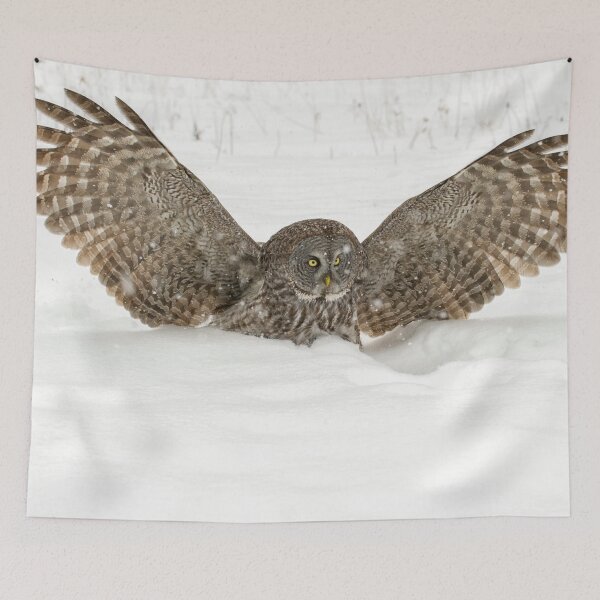 Item preview, Great Grey Owl designed and sold by Owl-Images.