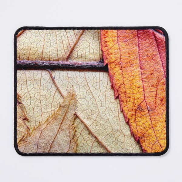 Item preview, Autumn leaves 03 designed and sold by Weston Westmoreland.