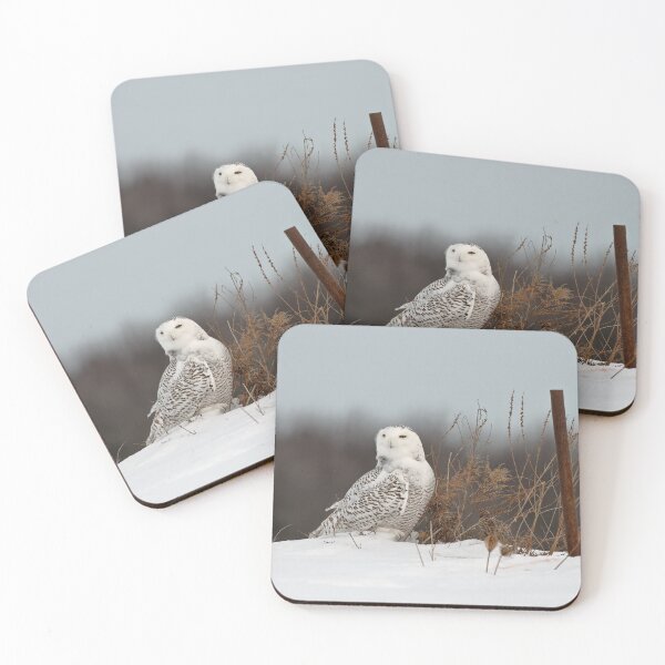Item preview, Snowy Owl designed and sold by Owl-Images.