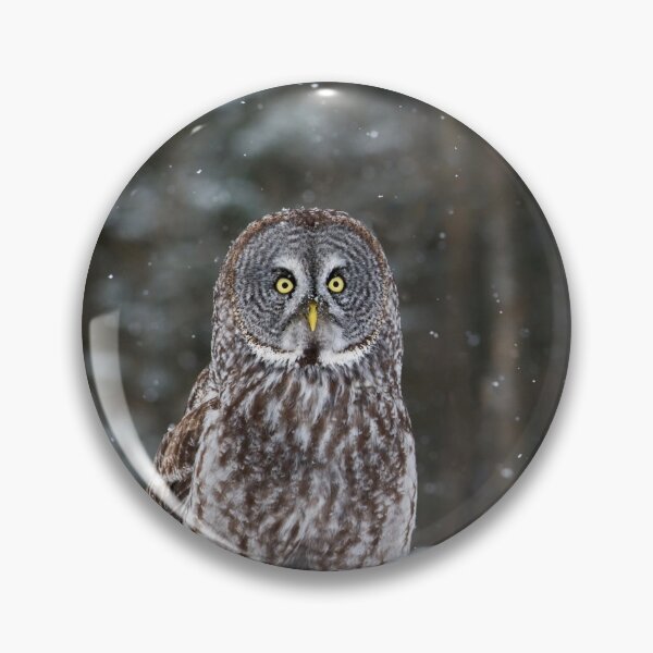 Item preview, Great Grey Owl designed and sold by Owl-Images.