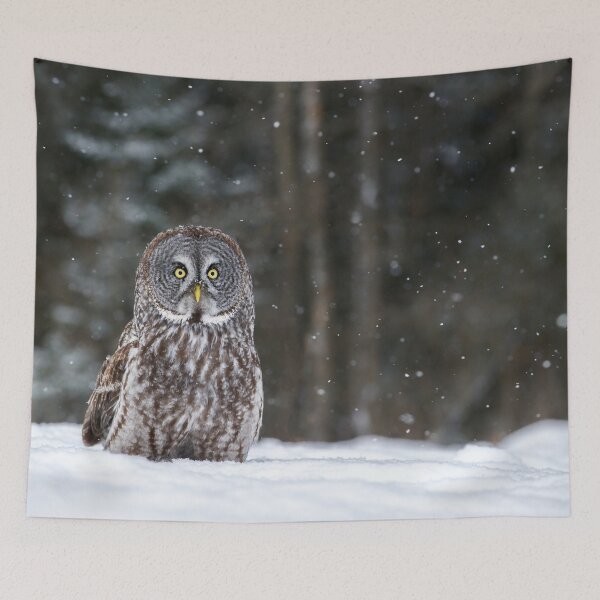 Item preview, Great Grey Owl designed and sold by Owl-Images.