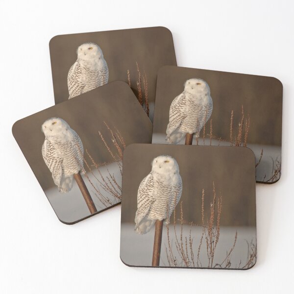 Item preview, Snowy Owl designed and sold by Owl-Images.