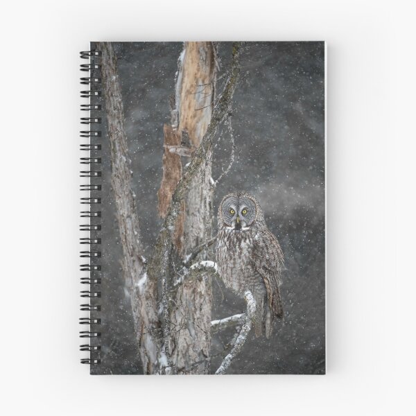 Item preview, Great Grey Owl designed and sold by Owl-Images.
