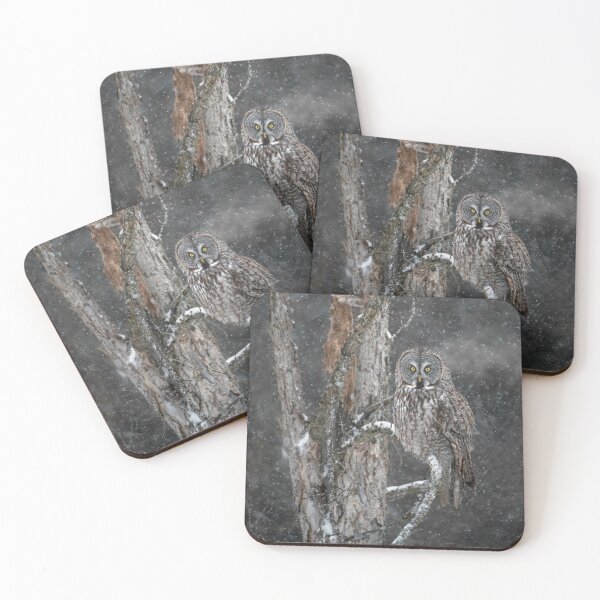 Item preview, Great Grey Owl designed and sold by Owl-Images.