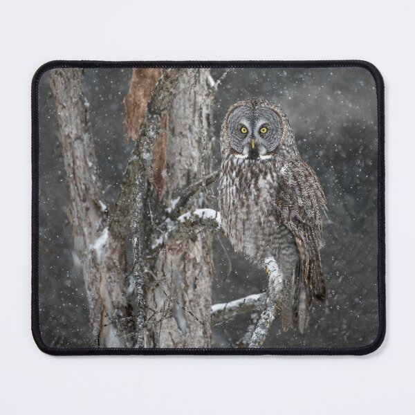 Item preview, Great Grey Owl designed and sold by Owl-Images.