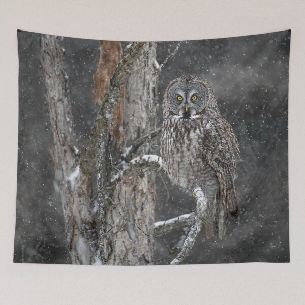 Item preview, Great Grey Owl designed and sold by Owl-Images.