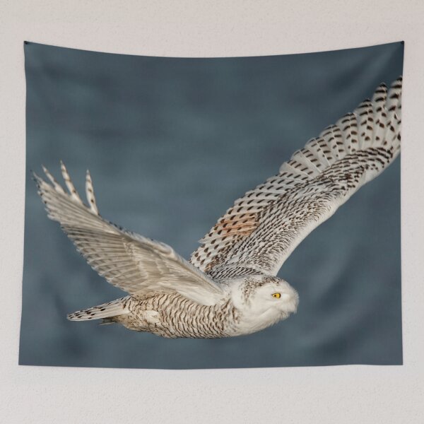Item preview, Snowy Owl designed and sold by Owl-Images.