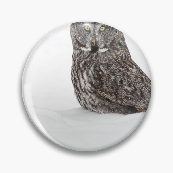 Item preview, Great Grey Owl designed and sold by Owl-Images.