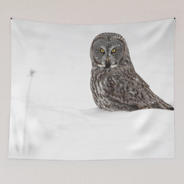 Item preview, Great Grey Owl designed and sold by Owl-Images.
