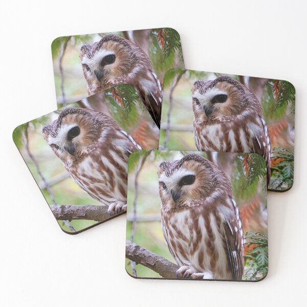 Item preview, Northern Saw-whet Owl designed and sold by Owl-Images.