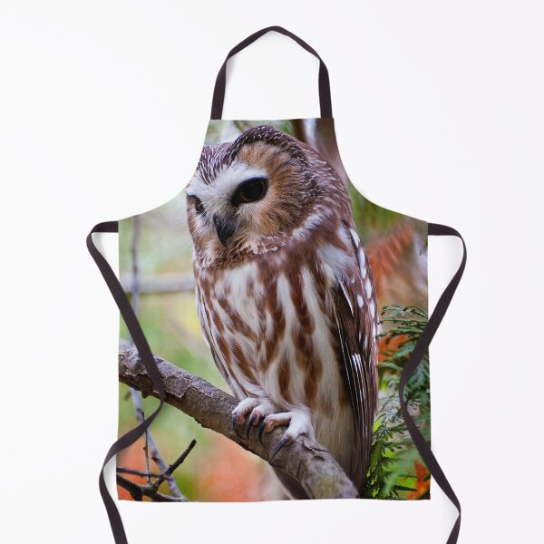 Item preview, Northern Saw-whet Owl designed and sold by Owl-Images.