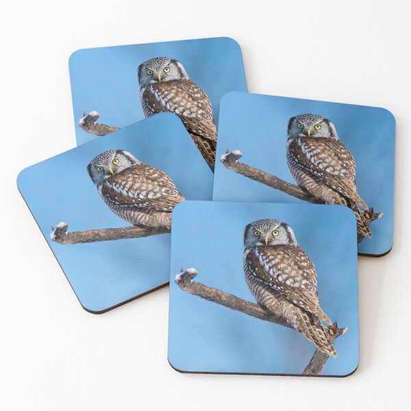 Item preview, Northern Hawk Owl designed and sold by Owl-Images.