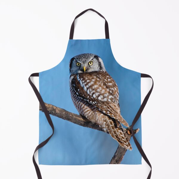 Item preview, Northern Hawk Owl designed and sold by Owl-Images.