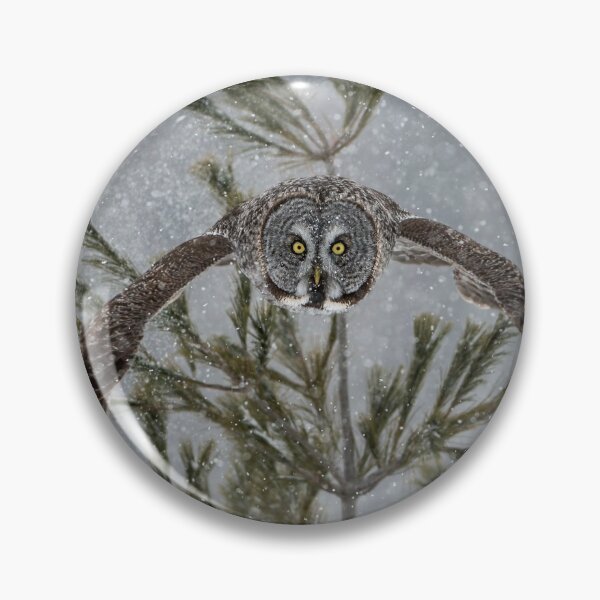 Item preview, Great Grey Owl designed and sold by Owl-Images.