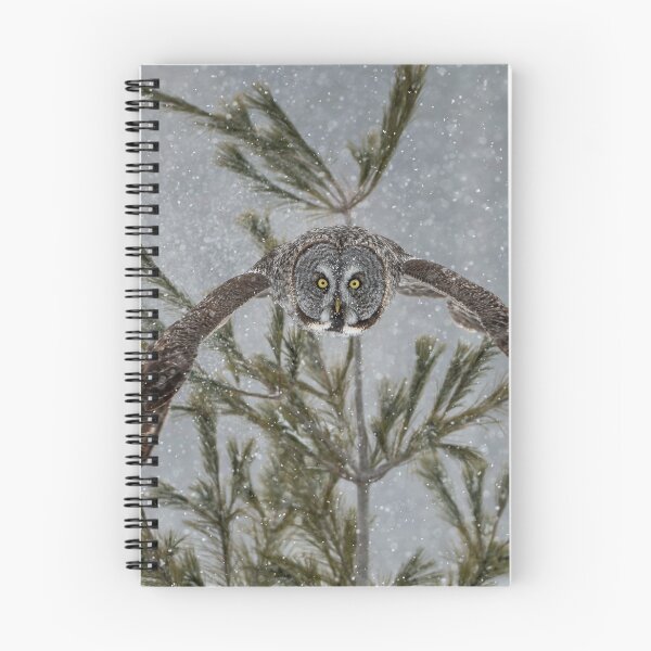 Item preview, Great Grey Owl designed and sold by Owl-Images.
