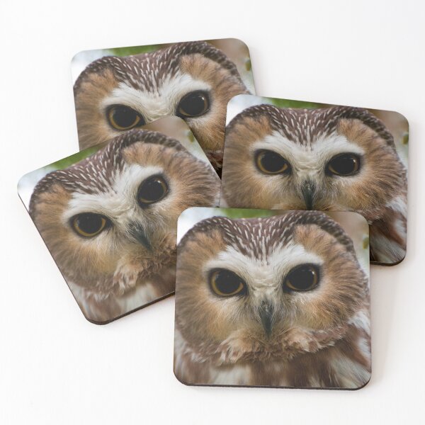 Item preview, Northern Saw-whet Owl designed and sold by Owl-Images.
