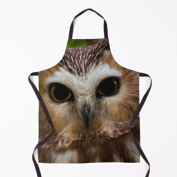 Item preview, Northern Saw-whet Owl designed and sold by Owl-Images.