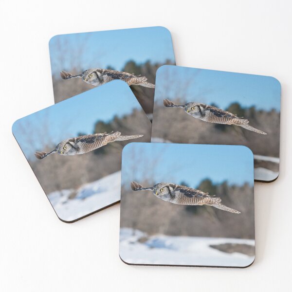 Item preview, Northern Hawk Owl designed and sold by Owl-Images.