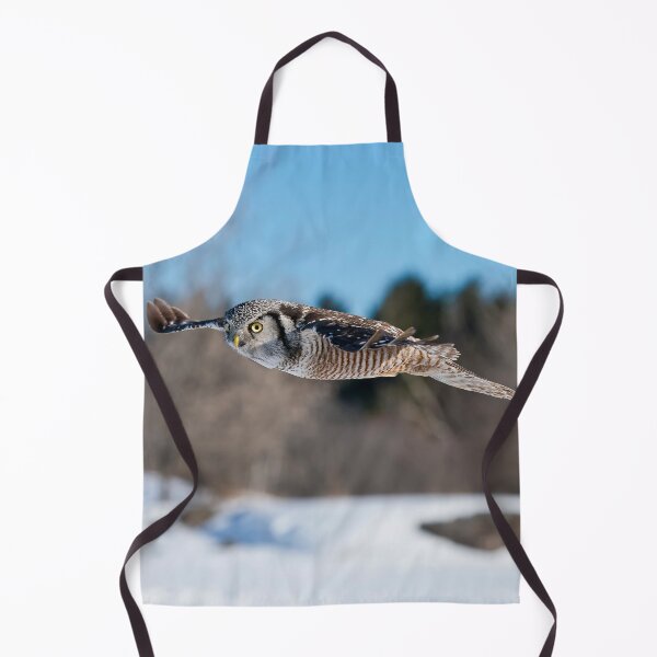 Item preview, Northern Hawk Owl designed and sold by Owl-Images.