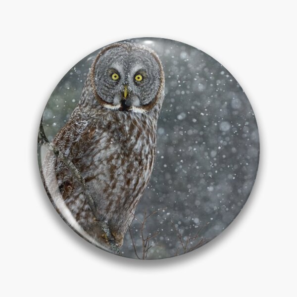 Item preview, Great Grey Owl designed and sold by Owl-Images.