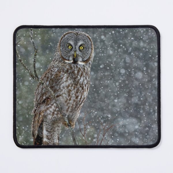 Item preview, Great Grey Owl designed and sold by Owl-Images.