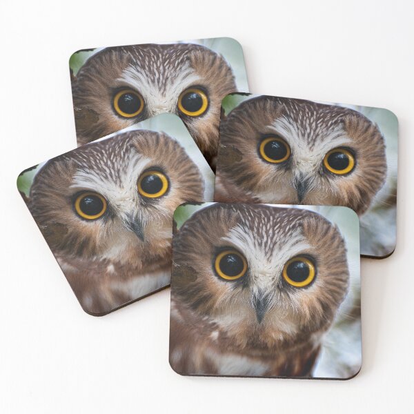 Item preview, Northern Saw-whet Owl designed and sold by Owl-Images.