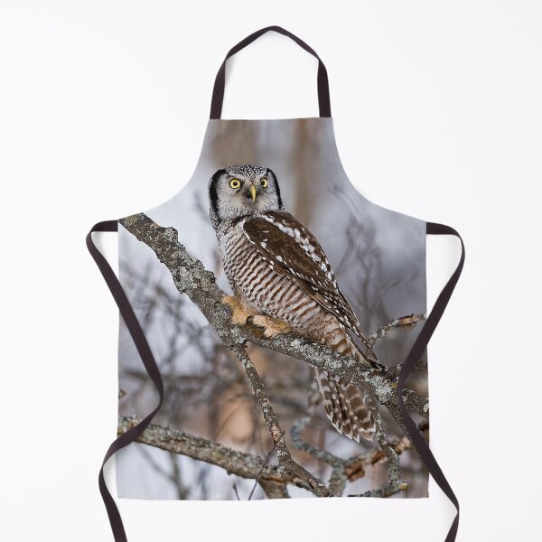 Item preview, Northern Hawk Owl designed and sold by Owl-Images.