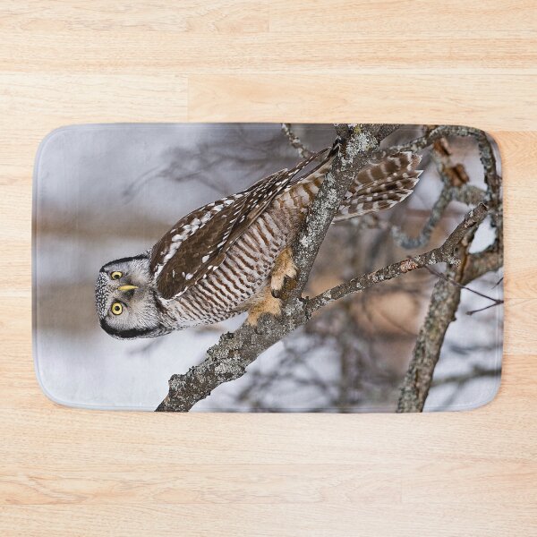 Item preview, Northern Hawk Owl designed and sold by Owl-Images.