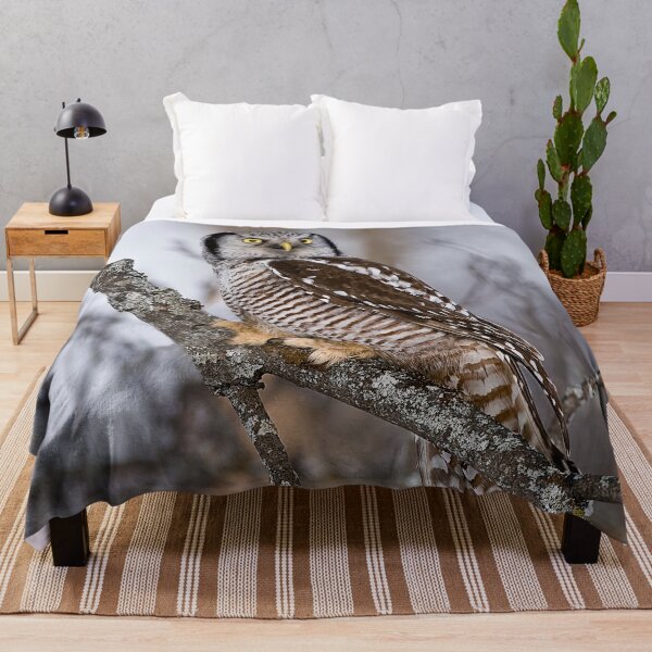 Item preview, Northern Hawk Owl designed and sold by Owl-Images.