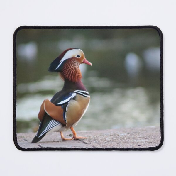 Item preview, Mandarin Duck designed and sold by MvMeer.