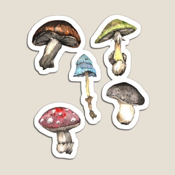 Mushroom Magnet - Stickers & Magnets - GrayDayStudio