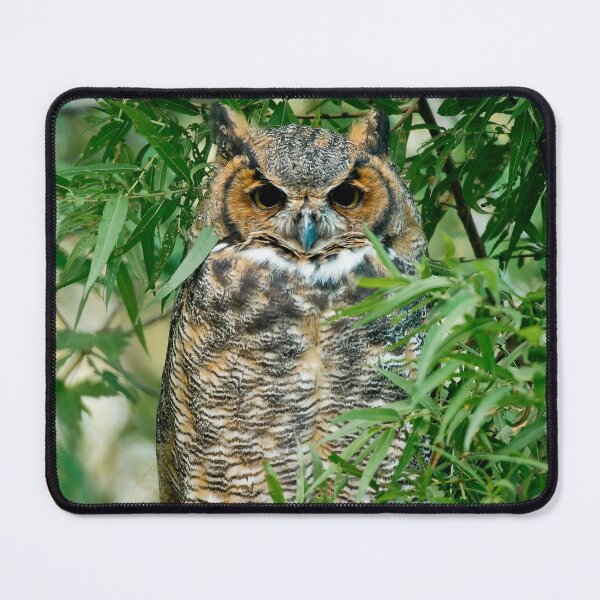 Artikelvorschau, Great Horned Owl entworfen und verkauft von Owl-Images.