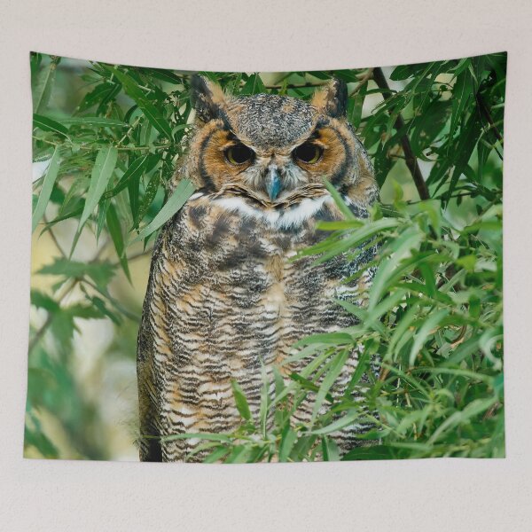 Item preview, Great Horned Owl designed and sold by Owl-Images.