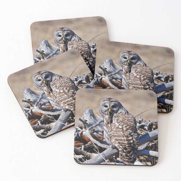 Item preview, Barred Owl designed and sold by Owl-Images.