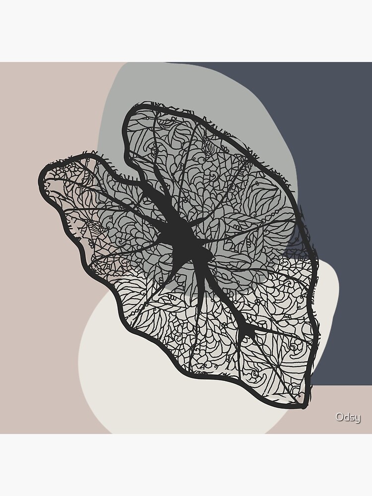 Fossil Find Lacey Leaf by Odsy