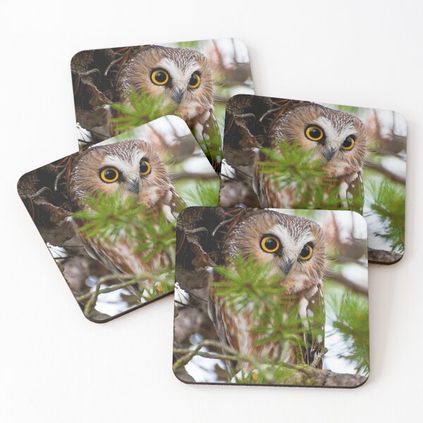Item preview, Northern Saw-whet Owl designed and sold by Owl-Images.
