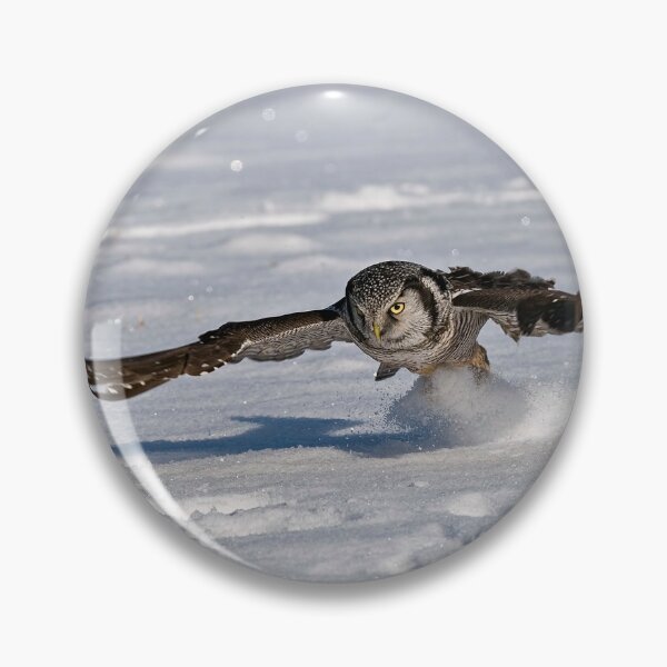 Item preview, Northern Hawk Owl designed and sold by Owl-Images.
