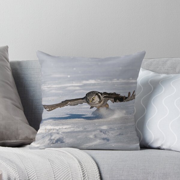 Artikelvorschau, Northern Hawk Owl entworfen und verkauft von Owl-Images.