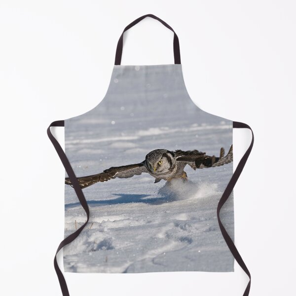 Item preview, Northern Hawk Owl designed and sold by Owl-Images.